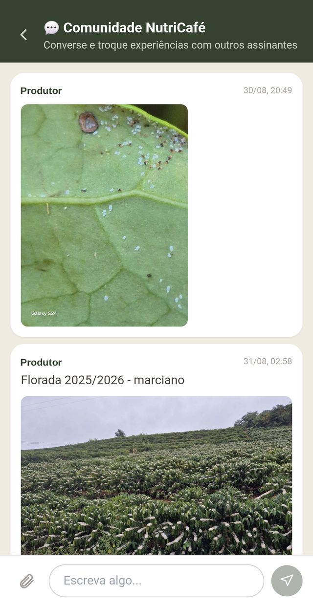 Comunidade NutriCafé com fotos da lavoura